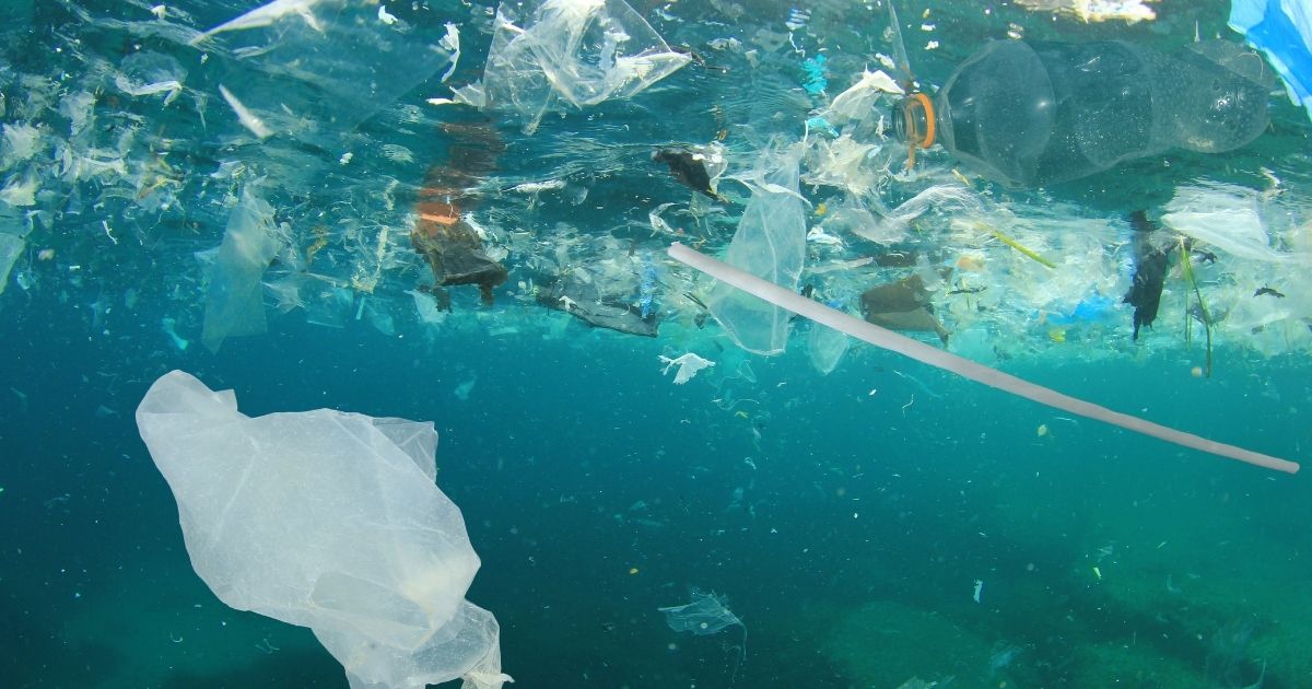 Plastic pollution in the ocean: What is the current status? | MARE